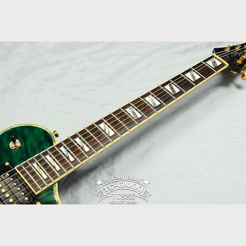 Aria ProII PE-509 | Reverb