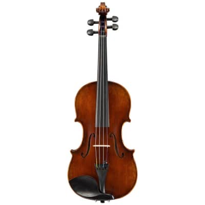 Eastman Strings VL401ST Ivan Dunov 4/4 Violin Outfit image 1