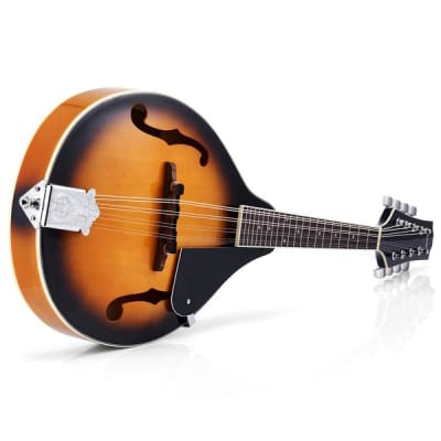 A Style Mandolin Instrument Sunburst Mahogany DML-1 With Tuner String Big Bag and Guitar Picks image 3