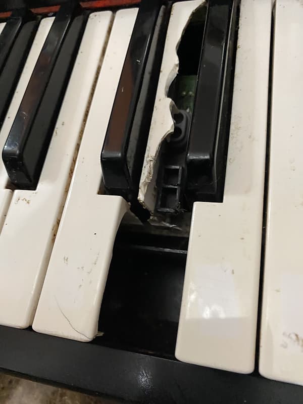 Yamaha Piaggero NP-11 61-Key Lightweight Keyboard | Reverb