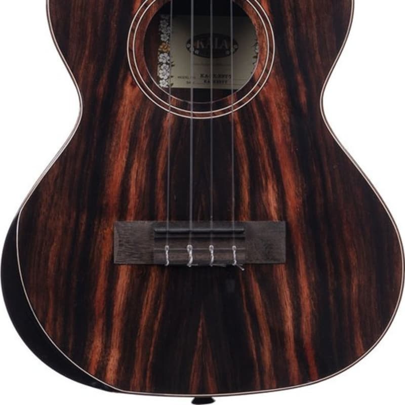 Kala KA-PX-EBY-C Premier Exotic Ebony Concert Ukulele | Reverb