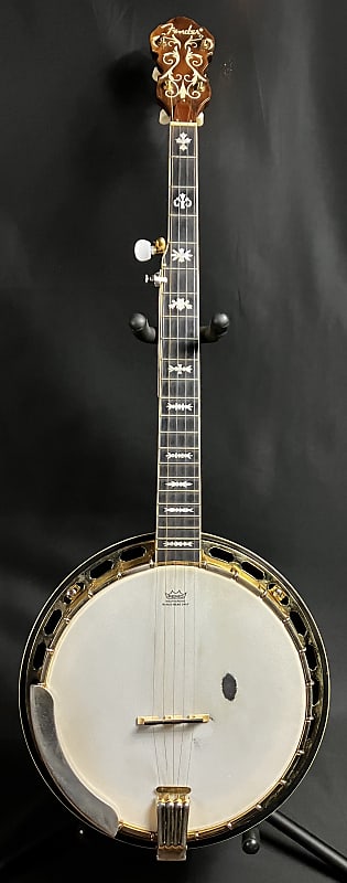 Fender FB-59 Professional 5-String Bluegrass Banjo w/ | Reverb Canada