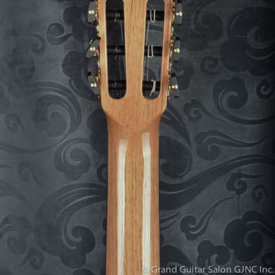 Raimundo Tatyana Ryzhkova Signature model, Cedar top  classical guitar image 8