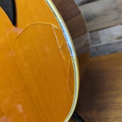 Eko Ranger XII 12 String Vintage Acoustic Guitar image 13