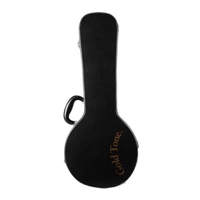 Gold Tone Mandola  w/ Bag image 4