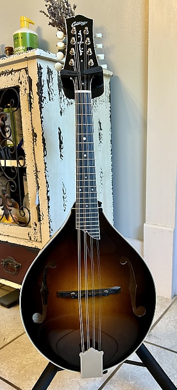 Collings MT2 Mandolin One Piece Back image 1