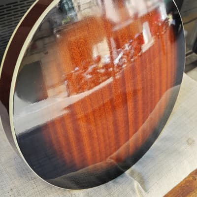 Epiphone Stagebird Banjo image 8