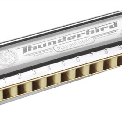 Thunderbird harmonica deals