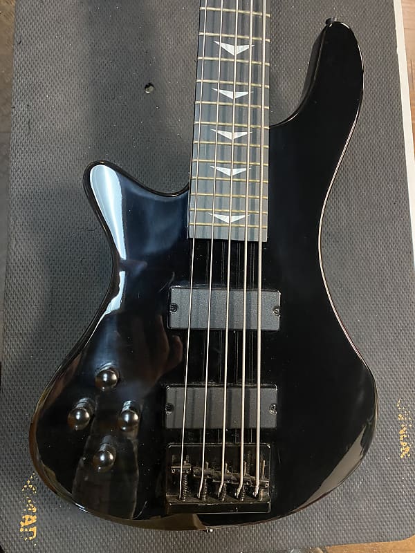 Left Handed 5 String Bass Reverb