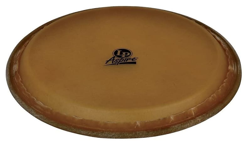 Latin Percussion Aspire 12-Inch Rawhide Tumba Head (LPA640C) image 1