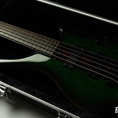 ベース MAYONES Comodous 5st Custom Dirty Green MAYONES Comodous 5st Custom Dirty Green