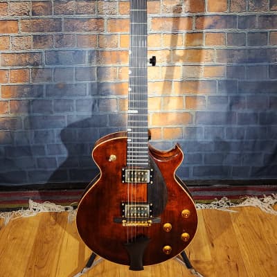 Eastman Otto D'Ambrosio El Rey Hollowbody Electric Guitar - Original Hard Case-Solid Wood Beauty image 2
