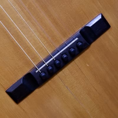 Washburn Model 1897 #111 Parlor Guitar 1903-1904 - Natural image 11