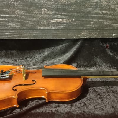 Bellafina Prodigy Violin (Dallas, TX) image 5