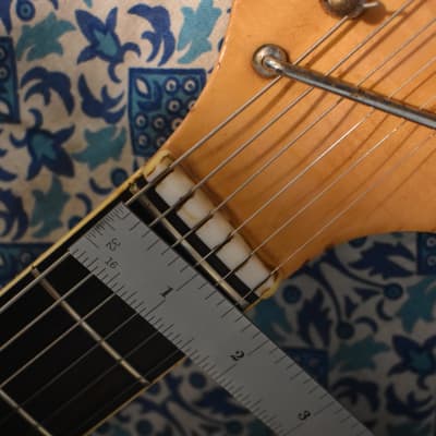 Silvertone 319. 14109 1960s - Sunburst image 7