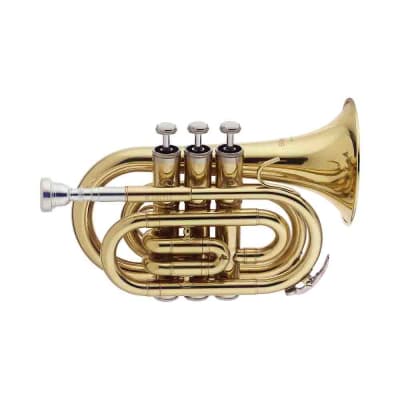 Stagg WS-TR245S ML-Bore, Brass Body Bb Pocket Trumpet w/Soft Case & Mouthpiece 7C Silver Plated image 3