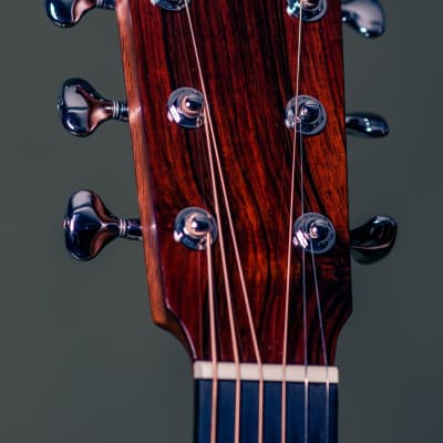 Mayson Duke Custom Acoustic Guitar - Grand Auditorium Cutaway w/ LR Baggs Anthem (MASTERBUILD) image 6