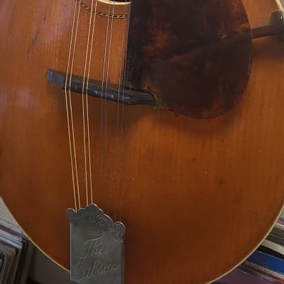 Gibson Mandolin A1 1914 - Natural/Honey image 2