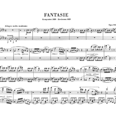 Schubert: Violin Sonatinas, Op. posth. 137 – Ficks Music