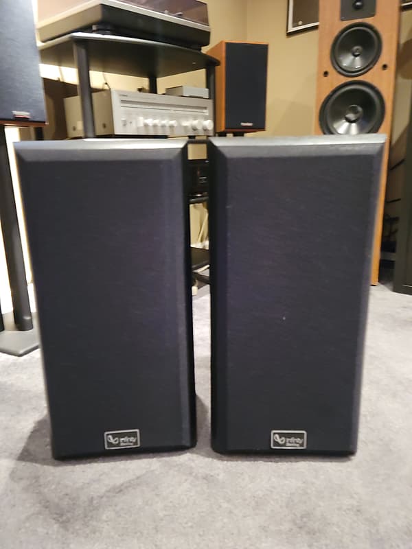 INFINITY STERLING SS 2005 BLACK GRAIN Reverb