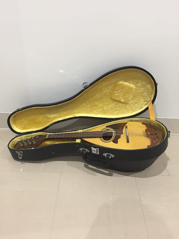 Suzuki mandolin mr-200