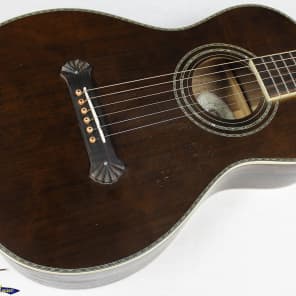 Washburn r319swkk parlor 2025