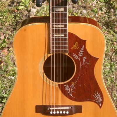 1974 Takamine Elite Elite HM-25 Humming Bird Model - Natural | Reverb Sweden