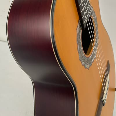 Superior Mariachi Guitar 2023 - Nitro Matte image 6