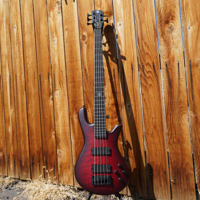 Spector NS Pulse-II Black Cherry Matte 5-String Electric Bass Guitar (2022) image 2