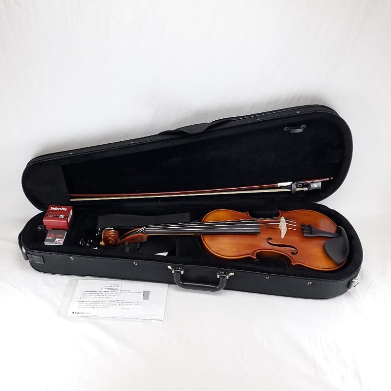 Nicolo Santi 4/4 Beginner Violin - NSN60S | Reverb
