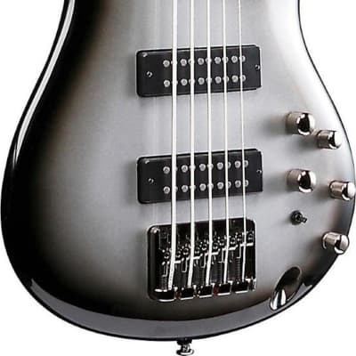 Ibanez SR305E 5-String Electric Bass Guitar Bundle image 5