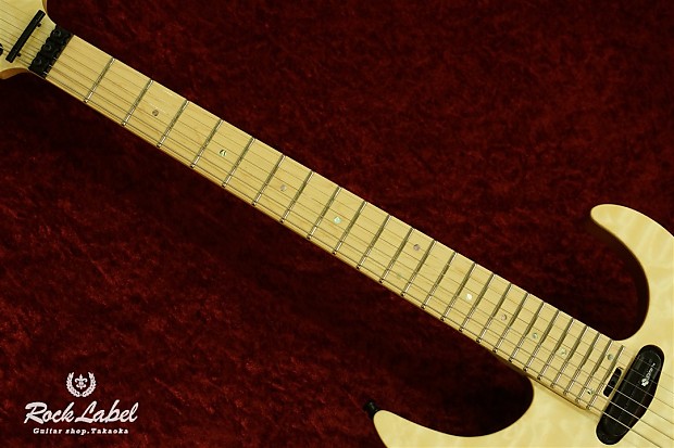 FERNANDES FRシリーズ サスティナー搭載エレキギターFR-ELT SUS