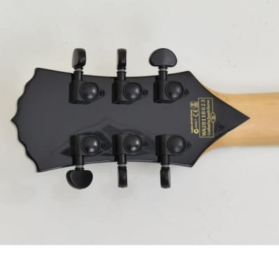 Wylde Audio Odin Grail Raw Top Guitar B-Stock 0023 image 7