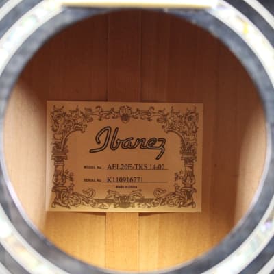 IBANEZ AEL20 acoustic guitars for sale in USA | guitar-list