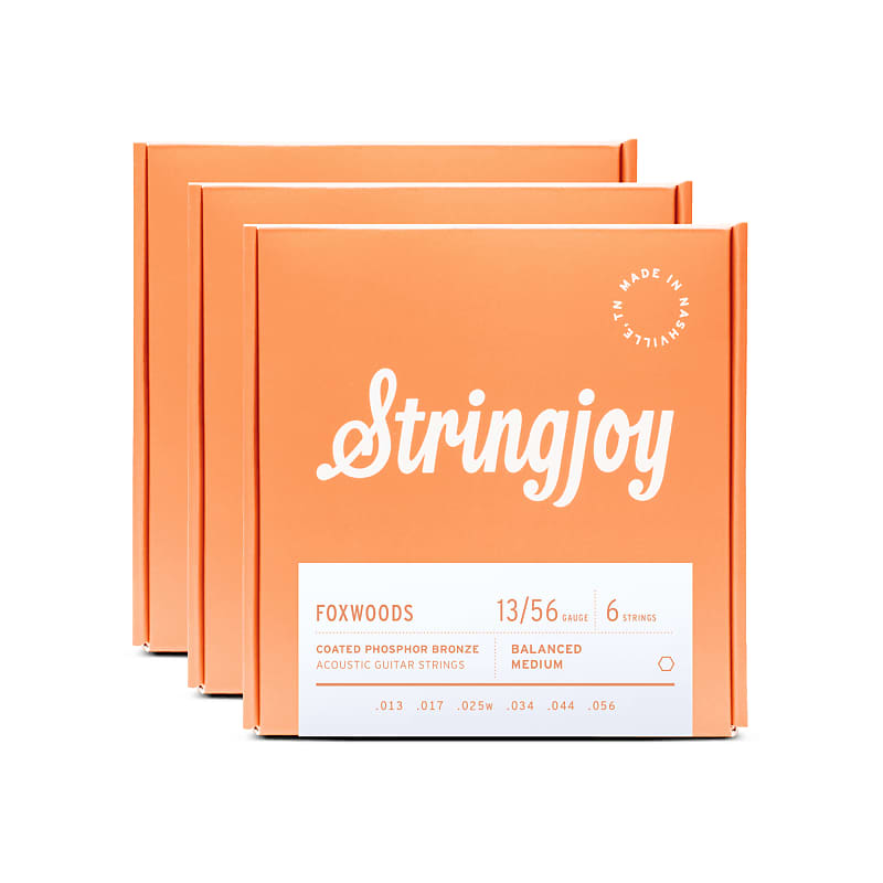 Stringjoy Foxwoods Acoustic Coated Phosphor Bronze Medium Reverb