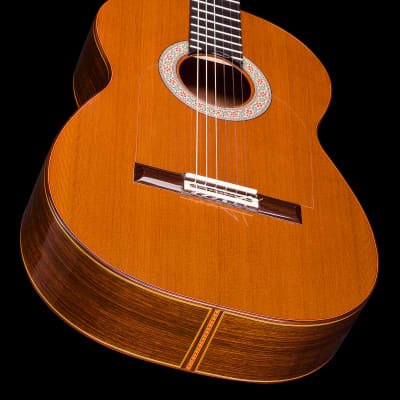 Graciliano Perez flamenco guitar “mixed earth” 2024 image 12
