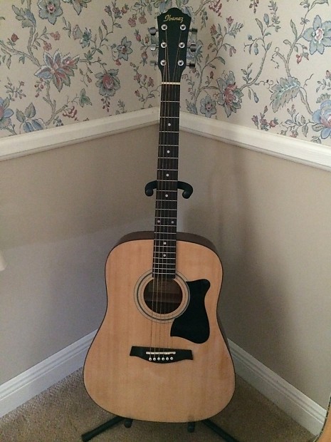 Ibanez gd10 store