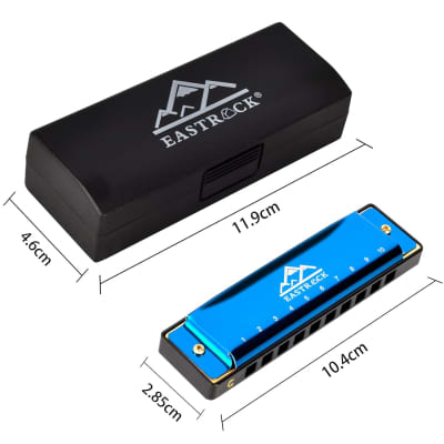 Blues Harmonica Mouth Organ 10 Hole C Key With Case, Diatonic Harmonica For Professional Player, Beginner, Students Gifts, Adult, Friends, Gift Blue image 5