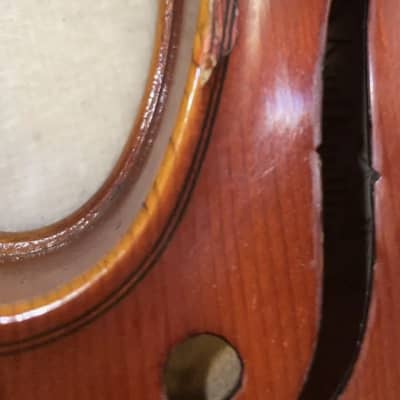 Karl Knilling 4/4 Violin - Handmade in Germany image 10