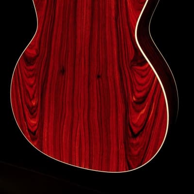Taylor Willcutt Acoustic Suites Special Edition GAce Cocobolo (141) image 3
