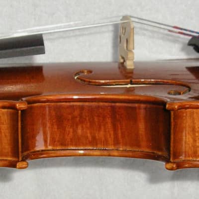 4/4  Lashof Violins Leon Albert C5120 Violin image 6