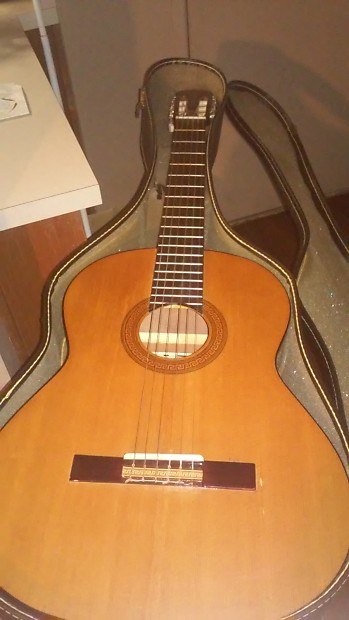 Hohner guitar 1857 cheap