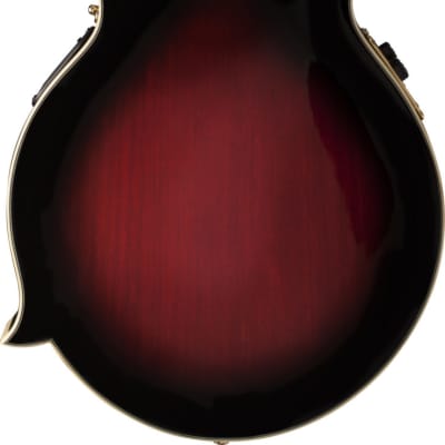 Washburn Americana M3SWE Trans Wine Red w/Case (B Stock) image 2