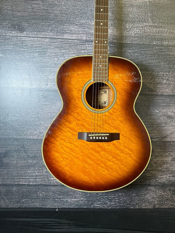 COPLEY COPLEY CA66 BRB Acoustic Guitar (Charlotte, NC) Reverb