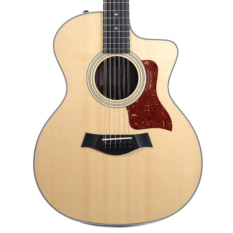 Taylor 254ce DLX image 1