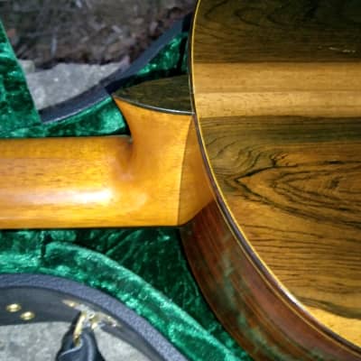 Michael Cone Classical guitar - Spruce/ Brazilian rosewood. 1975 image 11