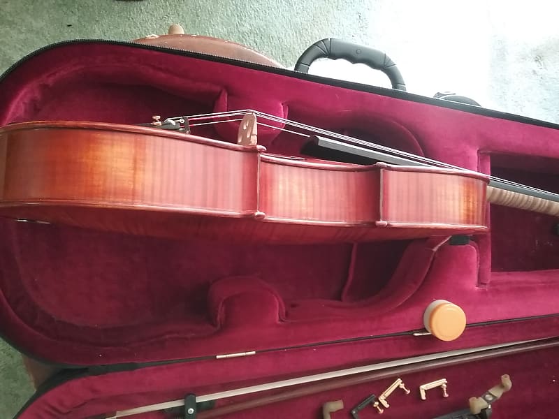 Gliga Cristian professional viola 17