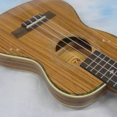 Reetz RT8000UB? リーツ ウクレレ ベース 美品 Rubin RT-102 ALL ZEBRAWOOD THIN BODY 26″ TENOR ACOUSTIC