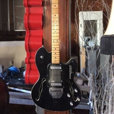 Vintage 1973 Hayman 2020 semi hollow body guitar  Made in England VERY RARE!!! image 6