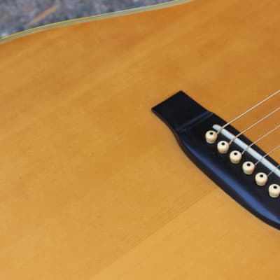 1970s Tokai Cats Eyes CE-300 Vintage Acoustic (Made in Japan